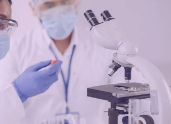 Scientists