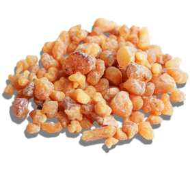 Boswellia Serrata Extract