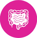 Digestion Icon