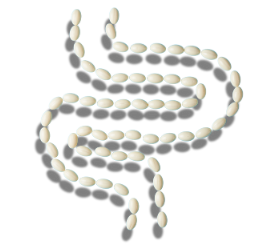 DIGESTIVE ENZYMES