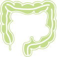 Large Intestine Icon representing water absorption