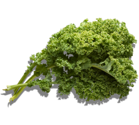 Kale Leaf Powder