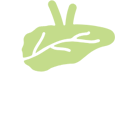 Pancreas Icon representing enzyme production