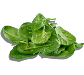 Spinach Powder