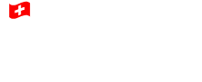 Swiss Innovation Icon