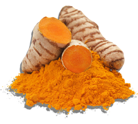 Curcuma Longa Extract